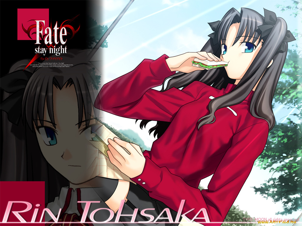, fate, stay, night